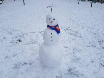 Estampas de todos los rincones de Navarra bajo el manto blanco caído el último día de febrero.