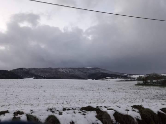 Estampas de todos los rincones de Navarra bajo el manto blanco caído el último día de febrero.