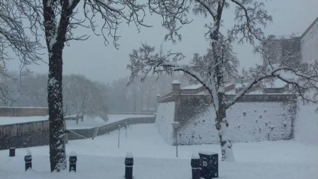 Estampas de todos los rincones de Navarra bajo el manto blanco caído el último día de febrero.