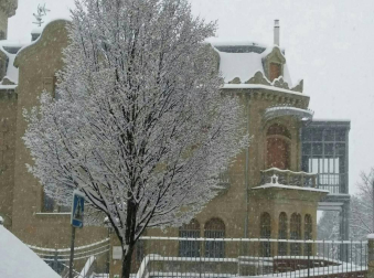 Estampas de todos los rincones de Navarra bajo el manto blanco caído el último día de febrero.
