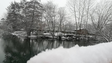 Estampas de todos los rincones de Navarra bajo el manto blanco caído el último día de febrero.
