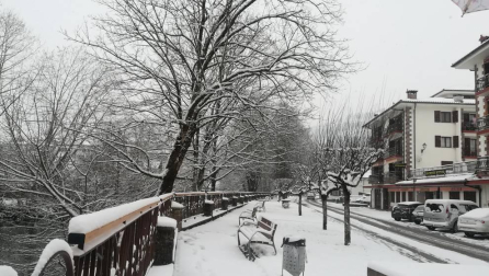 Estampas de todos los rincones de Navarra bajo el manto blanco caído el último día de febrero.