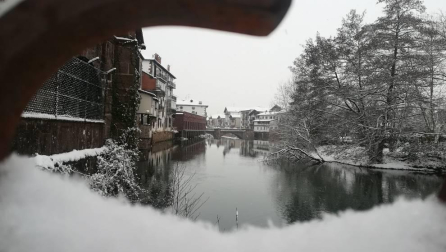 Estampas de todos los rincones de Navarra bajo el manto blanco caído el último día de febrero.