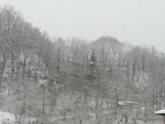 Estampas de todos los rincones de Navarra bajo el manto blanco caído el último día de febrero.