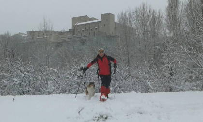 Estampas de todos los rincones de Navarra bajo el manto blanco caído el último día de febrero.