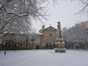 Estampas de todos los rincones de Navarra bajo el manto blanco caído el último día de febrero.