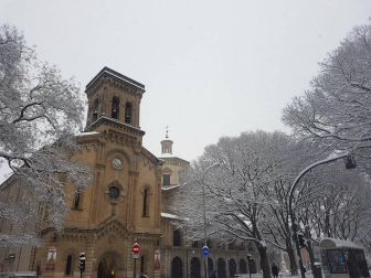 Estampas de todos los rincones de Navarra bajo el manto blanco caído el último día de febrero.