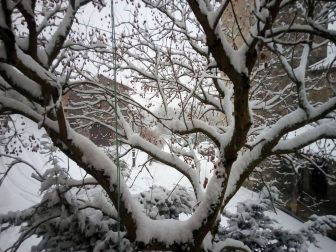 Estampas de todos los rincones de Navarra bajo el manto blanco caído el último día de febrero.