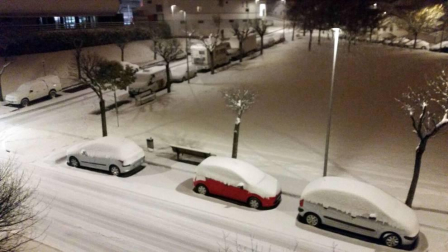 Estampas de todos los rincones de Navarra bajo el manto blanco caído el último día de febrero.