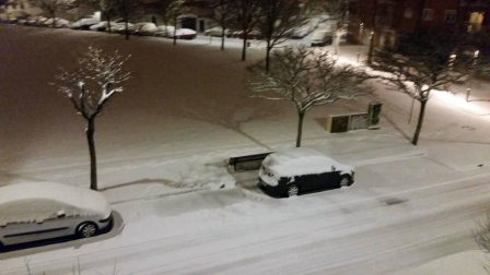 Estampas de todos los rincones de Navarra bajo el manto blanco caído el último día de febrero.