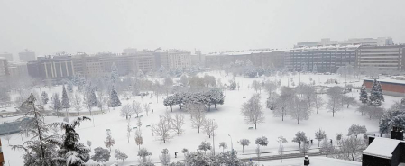 Estampas de todos los rincones de Navarra bajo el manto blanco caído el último día de febrero.