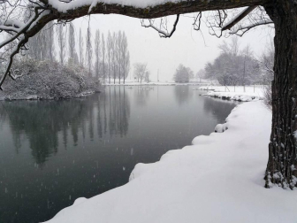 Estampas de todos los rincones de Navarra bajo el manto blanco caído el último día de febrero.