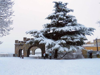 Estampas de todos los rincones de Navarra bajo el manto blanco caído el último día de febrero.