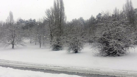 Estampas de todos los rincones de Navarra bajo el manto blanco caído el último día de febrero.