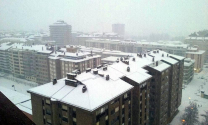 Estampas de todos los rincones de Navarra bajo el manto blanco caído el último día de febrero.