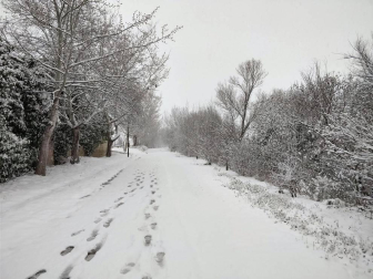 Estampas de todos los rincones de Navarra bajo el manto blanco caído el último día de febrero.