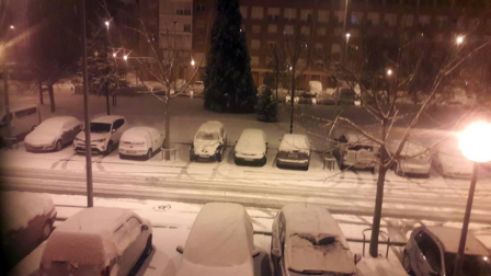 Estampas de todos los rincones de Navarra bajo el manto blanco caído el último día de febrero.