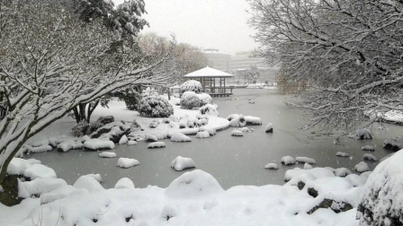Estampas de todos los rincones de Navarra bajo el manto blanco caído el último día de febrero.