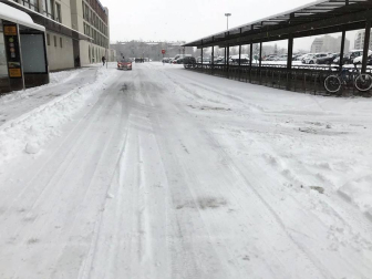 Estampas de todos los rincones de Navarra bajo el manto blanco caído el último día de febrero.