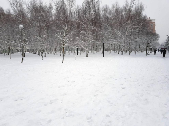 Estampas de todos los rincones de Navarra bajo el manto blanco caído el último día de febrero.