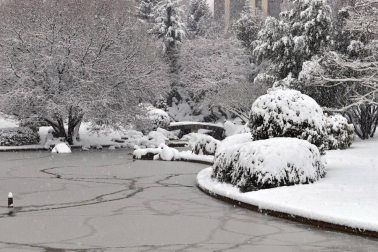 Estampas de todos los rincones de Navarra bajo el manto blanco caído el último día de febrero.