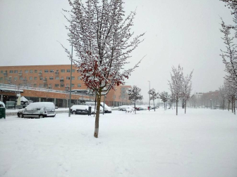 Estampas de todos los rincones de Navarra bajo el manto blanco caído el último día de febrero.
