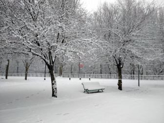 Estampas de todos los rincones de Navarra bajo el manto blanco caído el último día de febrero.