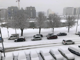 Estampas de todos los rincones de Navarra bajo el manto blanco caído el último día de febrero.