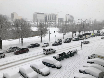 Estampas de todos los rincones de Navarra bajo el manto blanco caído el último día de febrero.