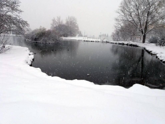 Estampas de todos los rincones de Navarra bajo el manto blanco caído el último día de febrero.