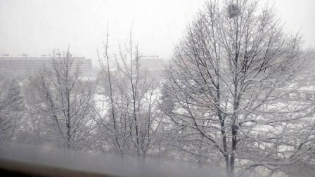 Estampas de todos los rincones de Navarra bajo el manto blanco caído el último día de febrero.