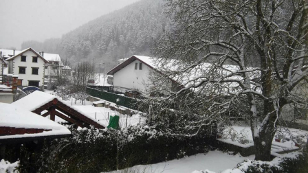 Estampas de todos los rincones de Navarra bajo el manto blanco caído el último día de febrero.