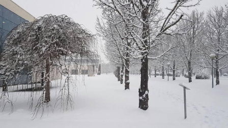 Estampas de todos los rincones de Navarra bajo el manto blanco caído el último día de febrero.