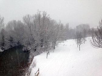 Estampas de todos los rincones de Navarra bajo el manto blanco caído el último día de febrero.