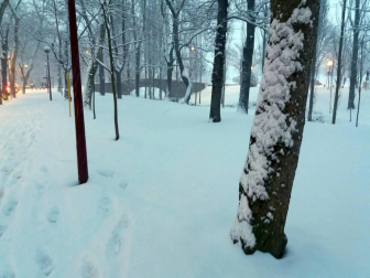 Estampas de todos los rincones de Navarra bajo el manto blanco caído el último día de febrero.