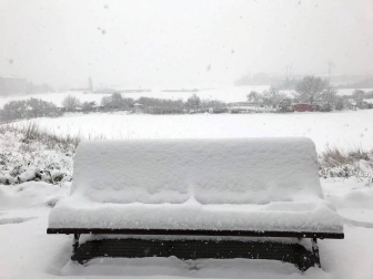 Estampas de todos los rincones de Navarra bajo el manto blanco caído el último día de febrero.