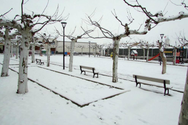 Estampas de todos los rincones de Navarra bajo el manto blanco caído el último día de febrero.