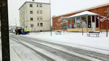Estampas de todos los rincones de Navarra bajo el manto blanco caído el último día de febrero.