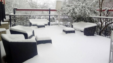 Estampas de todos los rincones de Navarra bajo el manto blanco caído el último día de febrero.