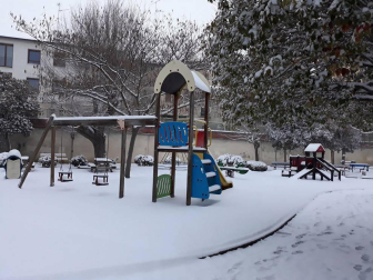 Estampas de todos los rincones de Navarra bajo el manto blanco caído el último día de febrero.