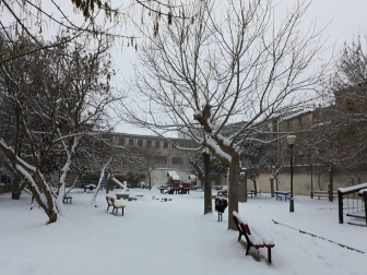 Estampas de todos los rincones de Navarra bajo el manto blanco caído el último día de febrero.