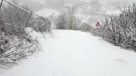 Estampas de todos los rincones de Navarra bajo el manto blanco caído el último día de febrero.