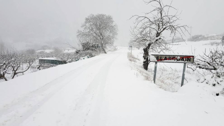 Estampas de todos los rincones de Navarra bajo el manto blanco caído el último día de febrero.