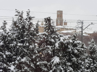 Estampas de todos los rincones de Navarra bajo el manto blanco caído el último día de febrero.