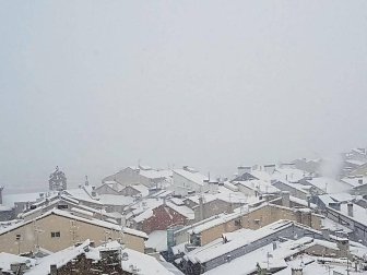 Estampas de todos los rincones de Navarra bajo el manto blanco caído el último día de febrero.