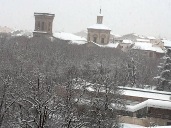 Estampas de todos los rincones de Navarra bajo el manto blanco caído el último día de febrero.