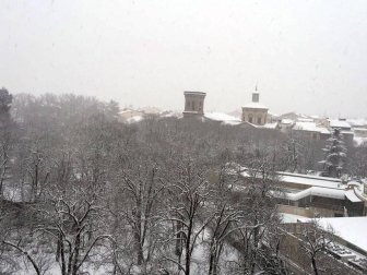 Estampas de todos los rincones de Navarra bajo el manto blanco caído el último día de febrero.