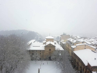 Estampas de todos los rincones de Navarra bajo el manto blanco caído el último día de febrero.