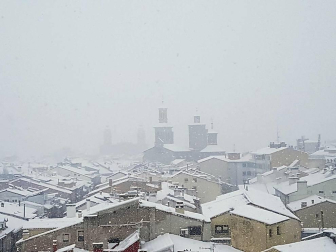 Estampas de todos los rincones de Navarra bajo el manto blanco caído el último día de febrero.