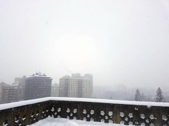 Estampas de todos los rincones de Navarra bajo el manto blanco caído el último día de febrero.